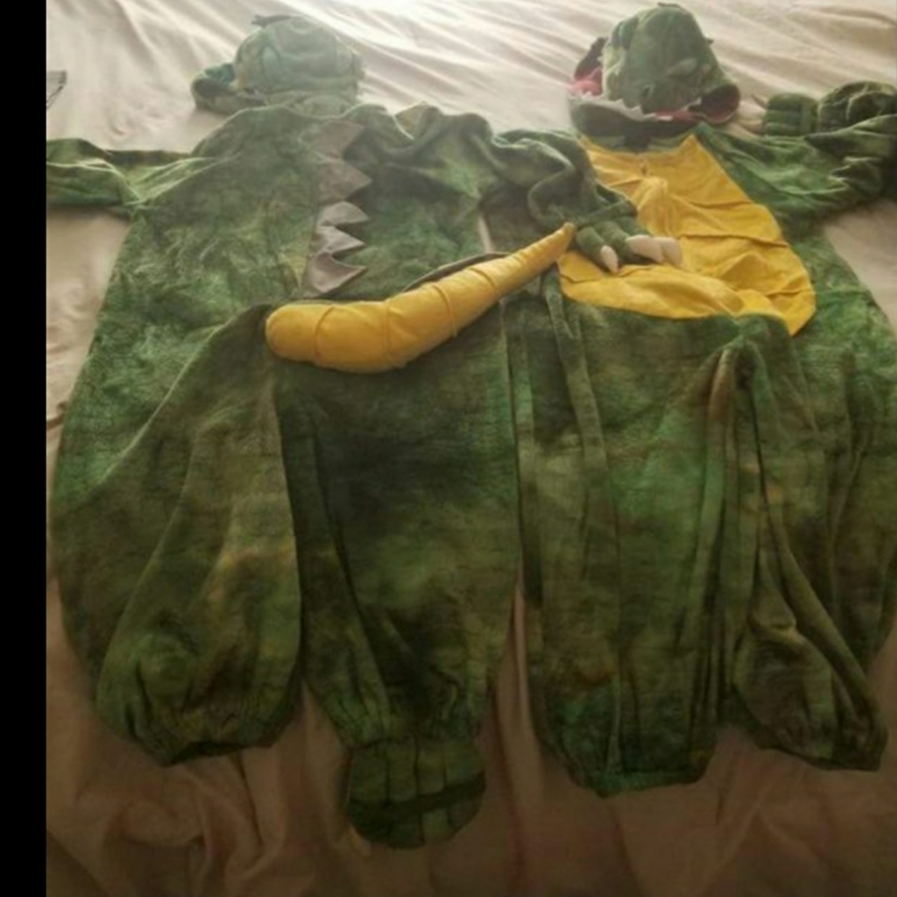 Children's Place Costumes